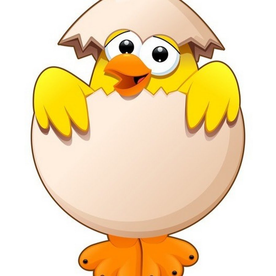 Картинка цыпленок в скорлупе