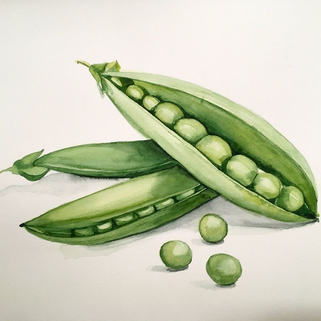 Горошек акварель