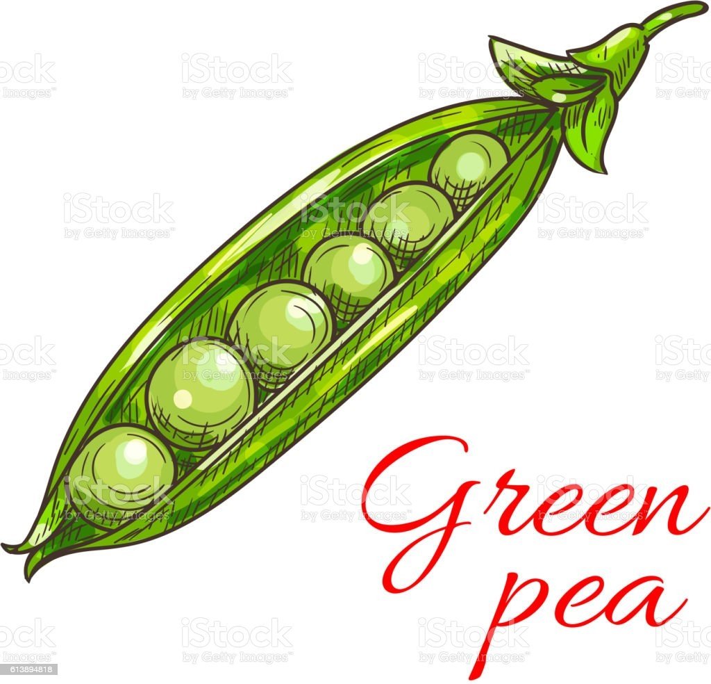 Зеленый горошек скетч