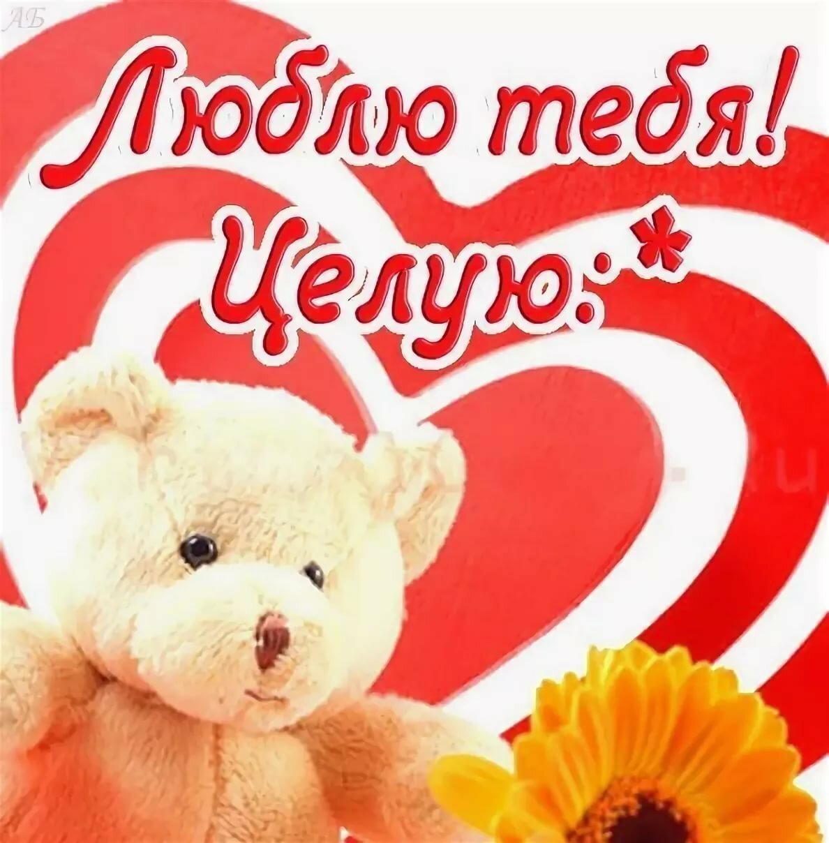 Люблю тебя любимый