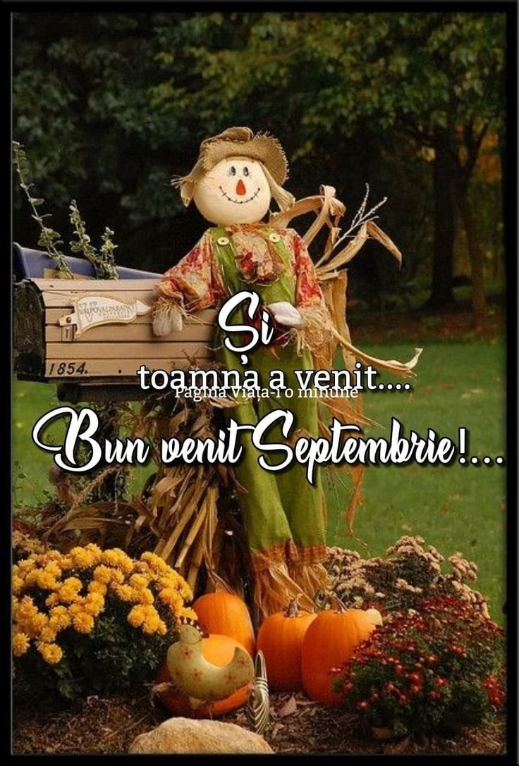 Пугало в осеннем огороде