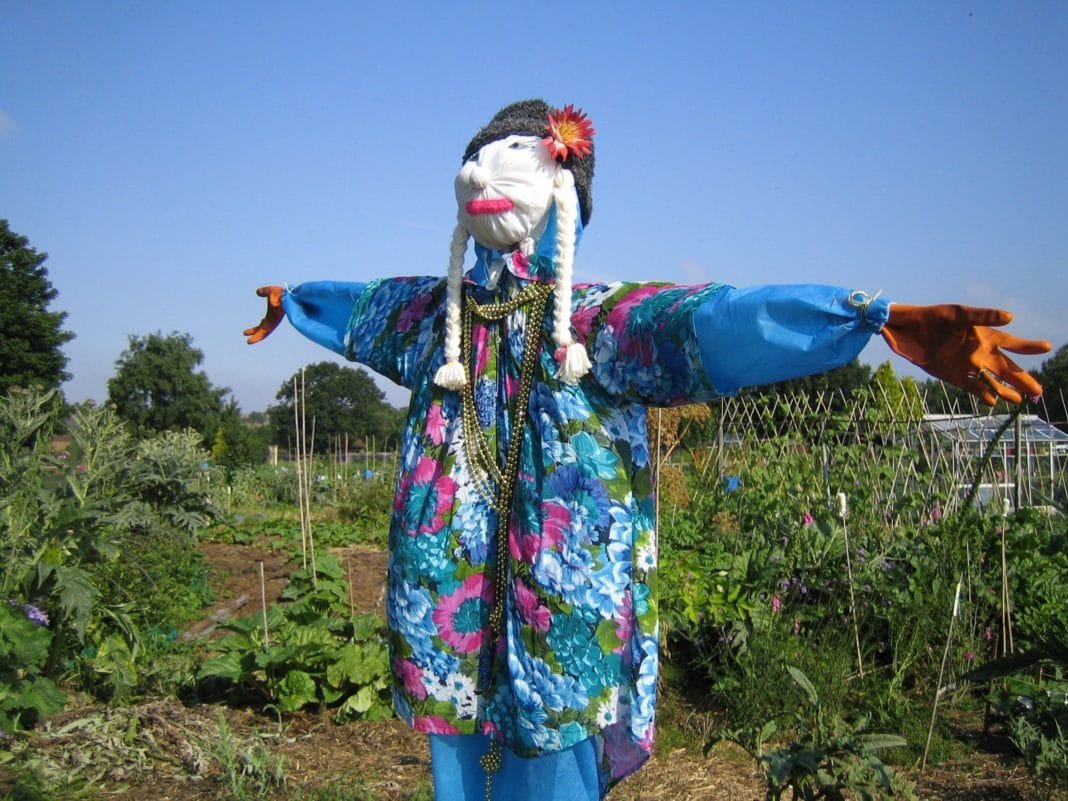 Чучело для огорода