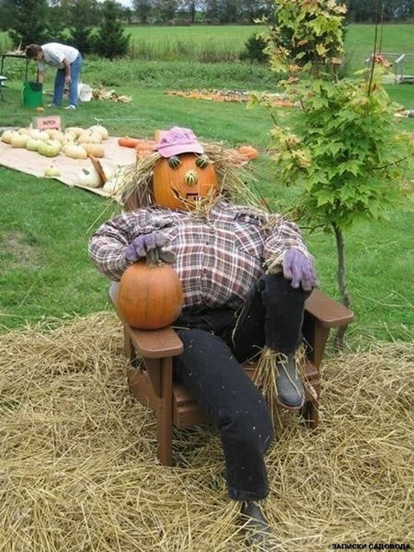 Прикольные пугало для огорода
