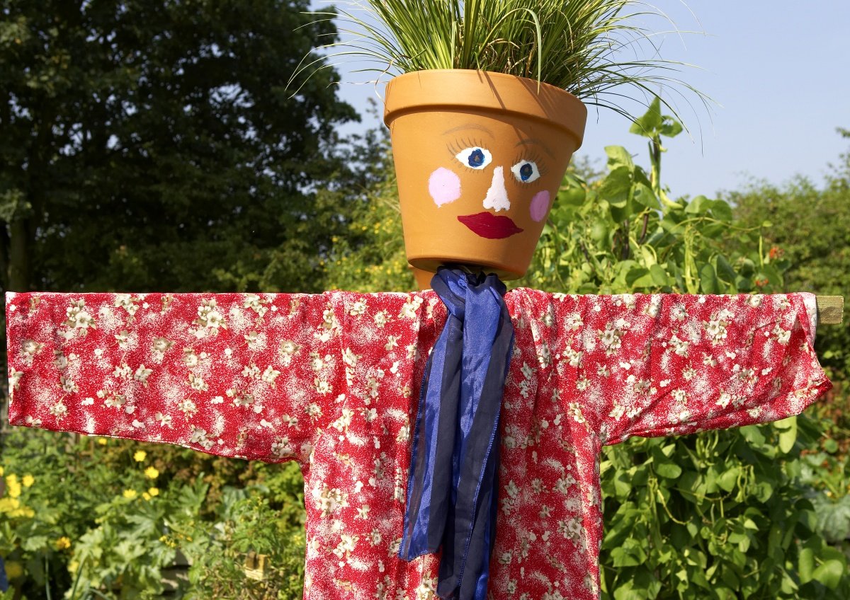 Пугало в огороде