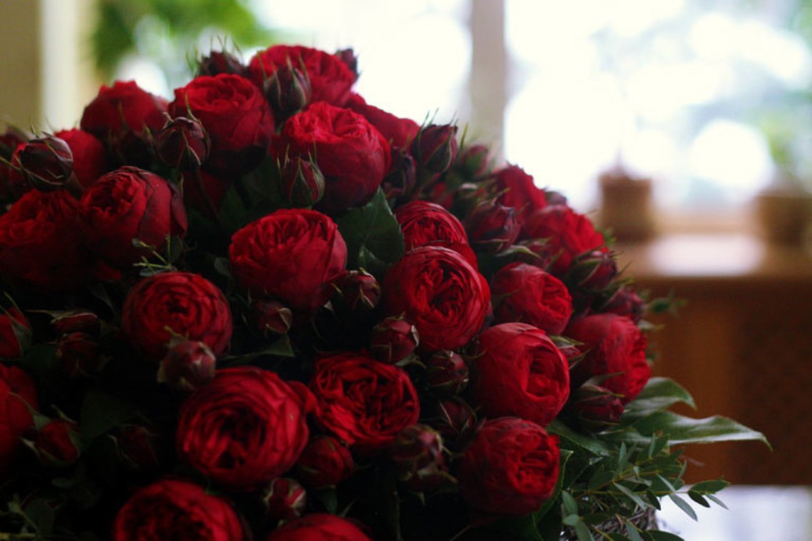 Пион красный