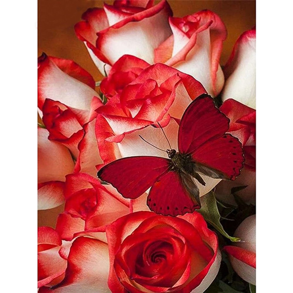 Красивые розы