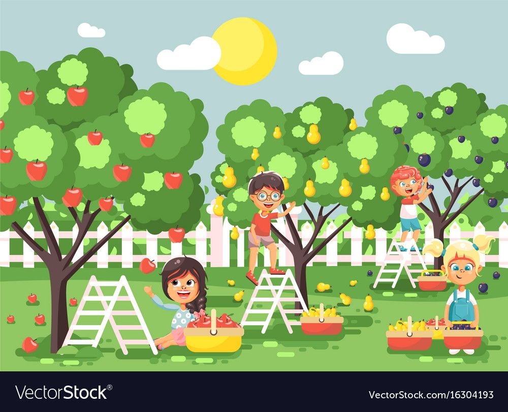 Сад с фруктовыми деревьями для детей