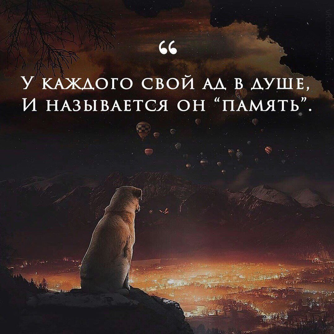 Красивые умные цитаты