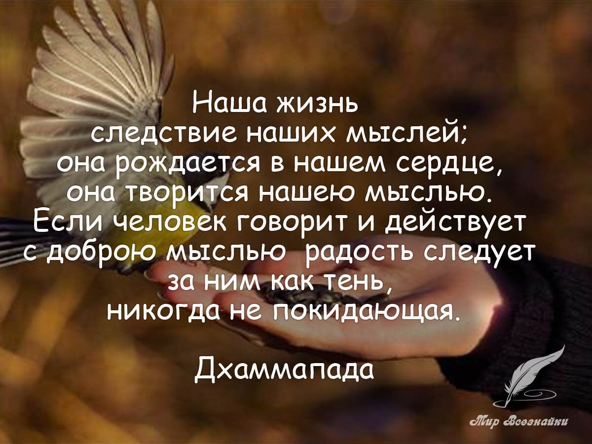 Умные высказывания