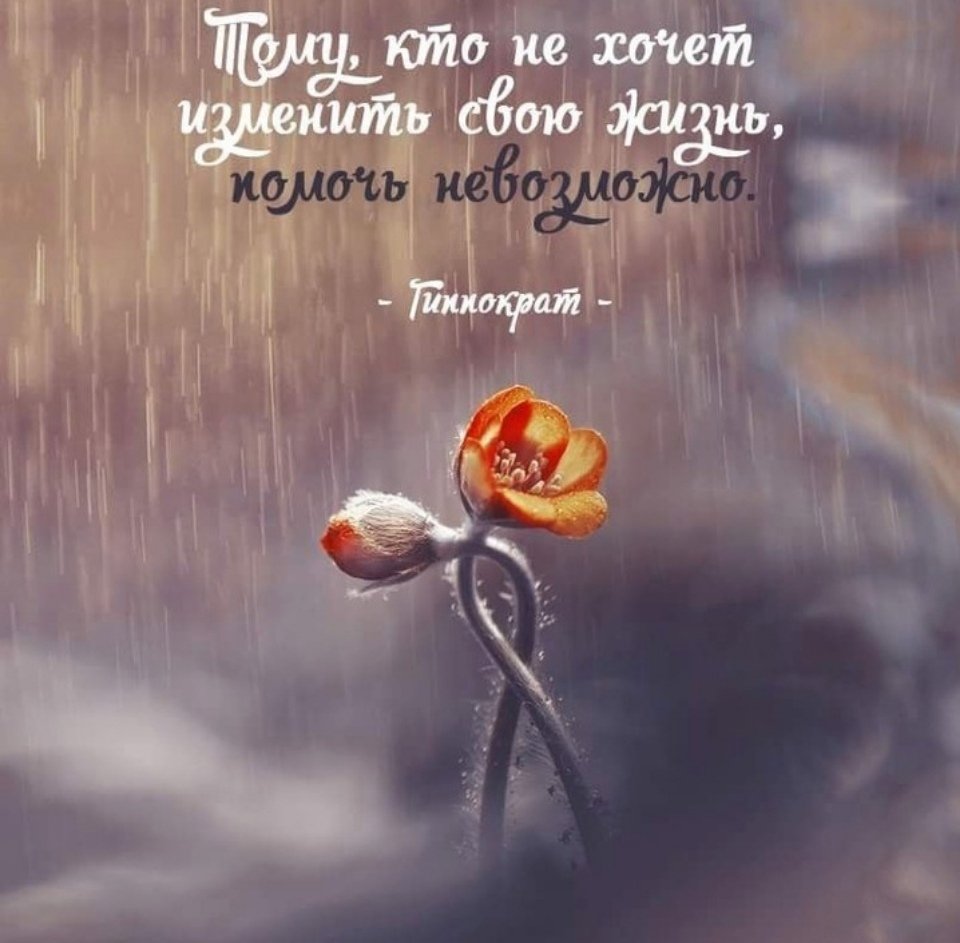 Красивые изречения о жизни