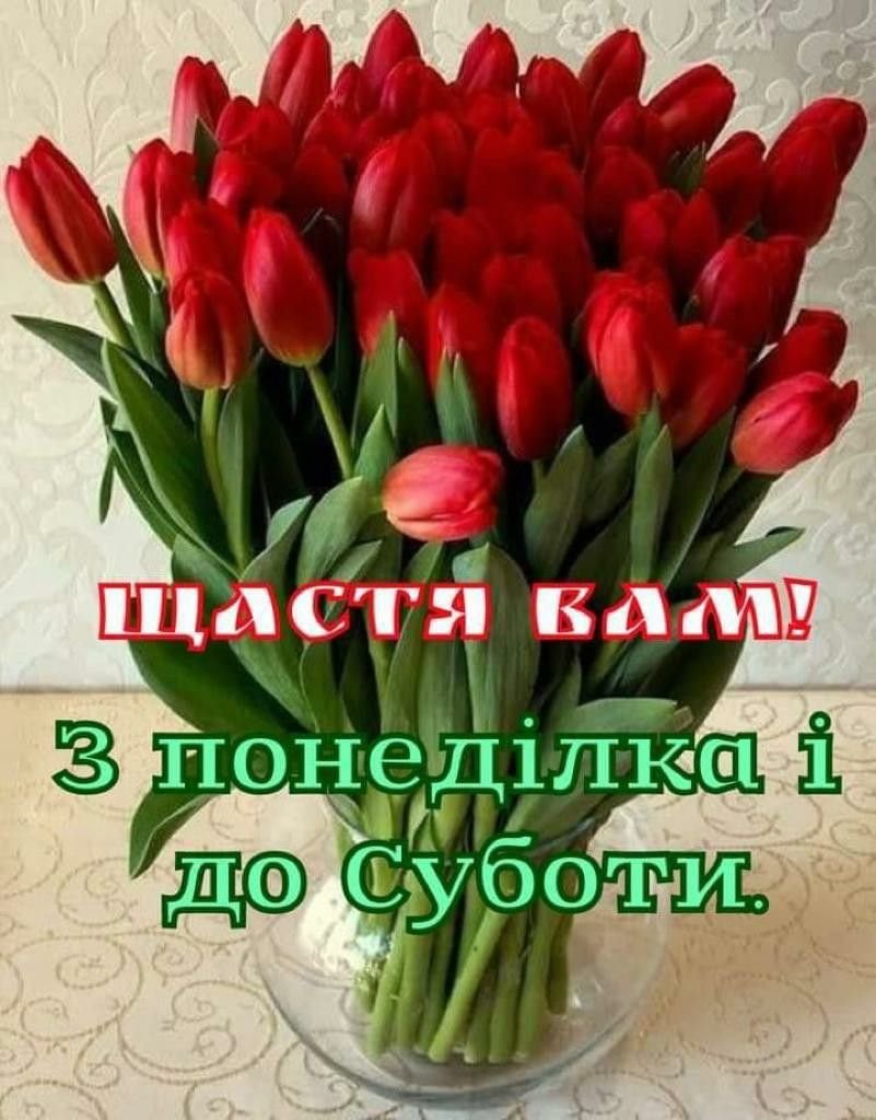 Букет тюльпанов с днем рождения