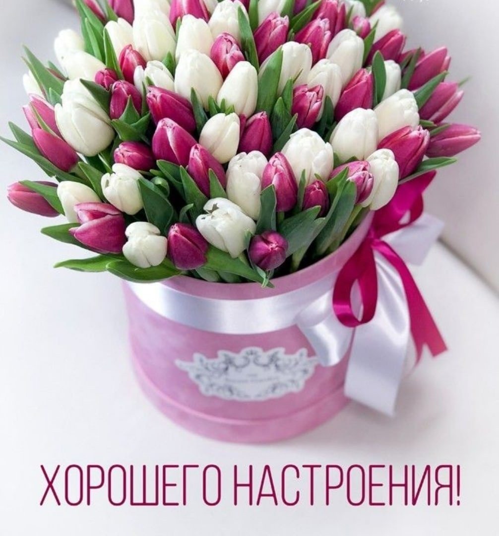 Букет тюльпанов