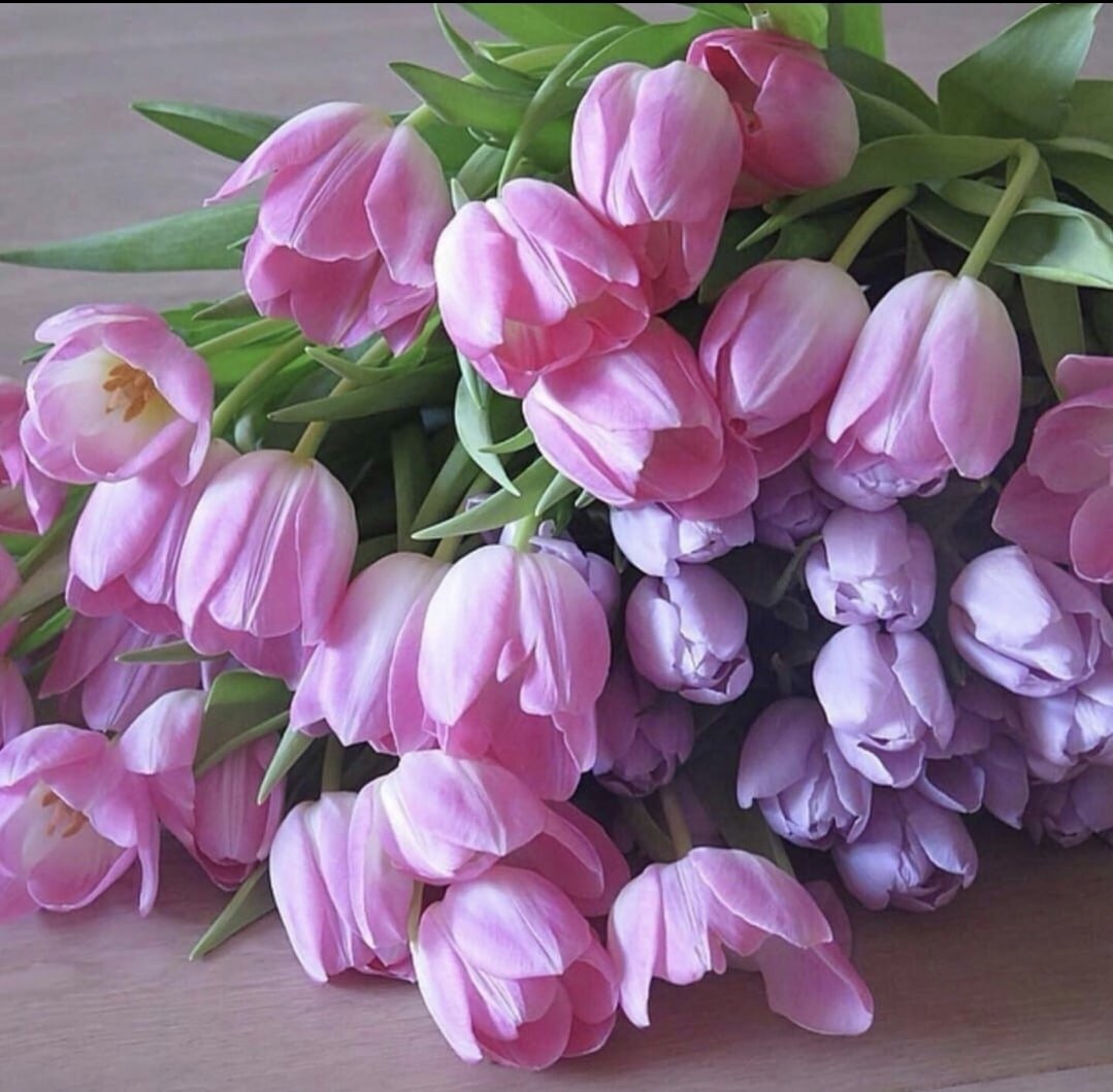 Мудрые пожелания с добрым утром