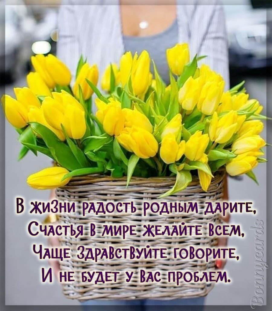 Открытки с желтыми тюльпанами