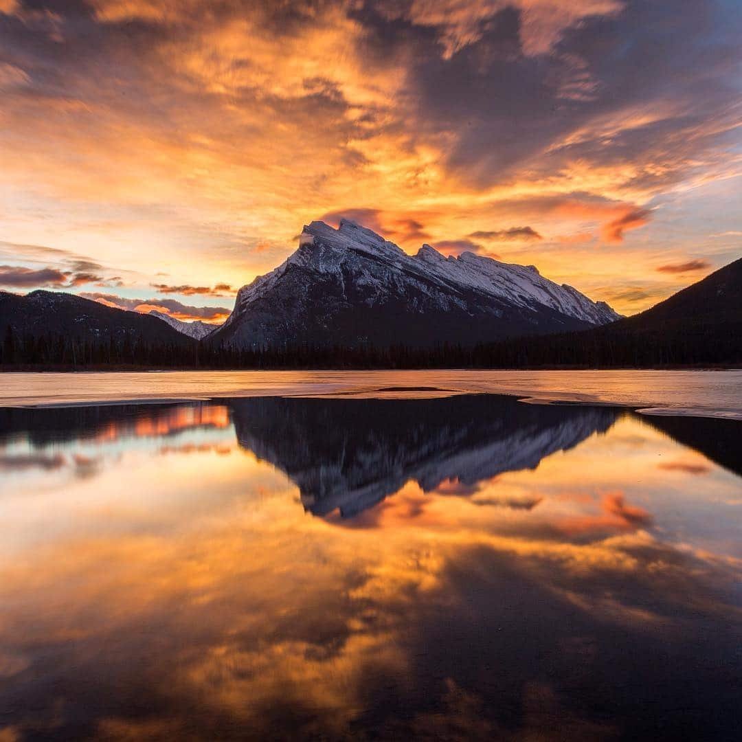 Профессиональные пейзажи