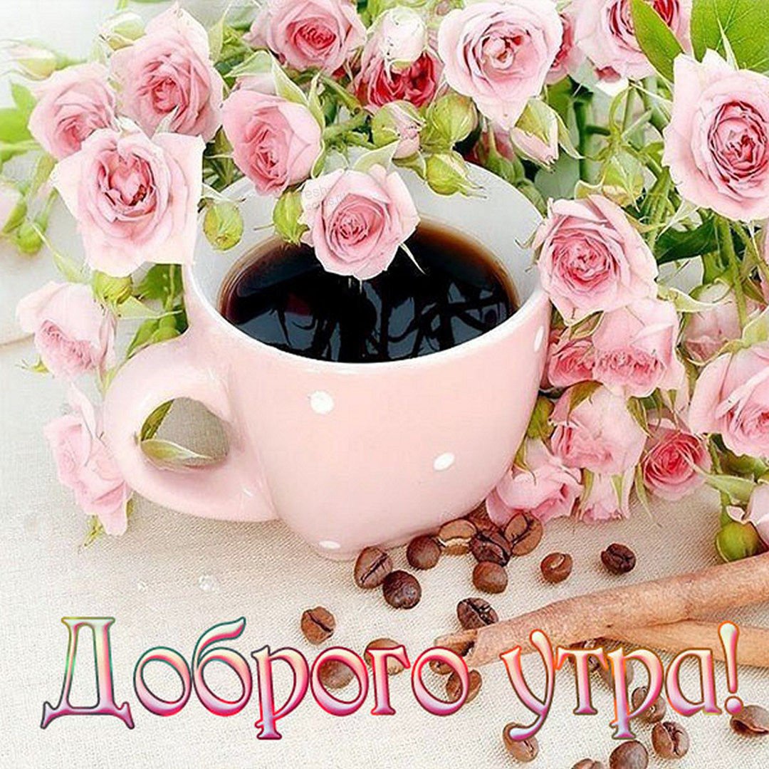Доброе утро и отличного настроения