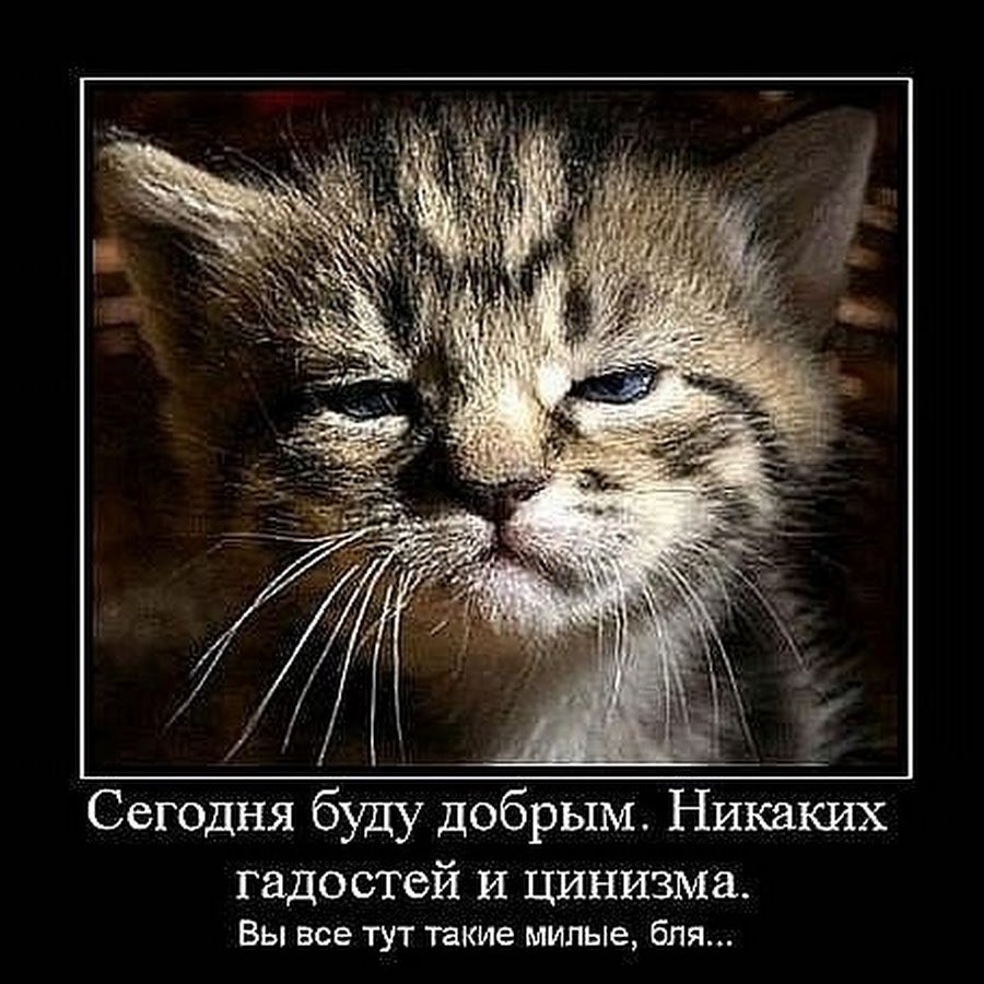 Скучные картинки