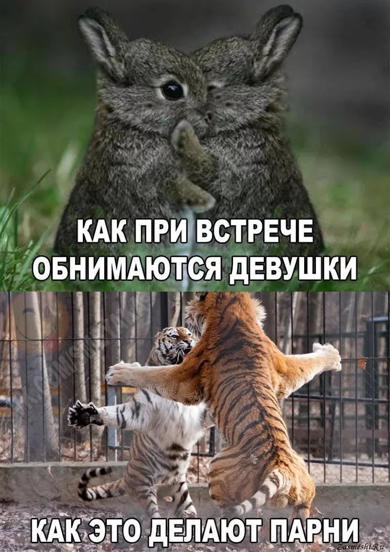 Обнимашки картинки прикольные