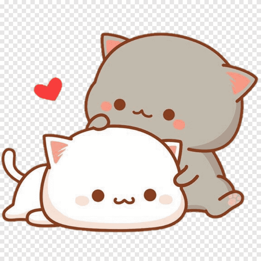 Кавайные котики любовь