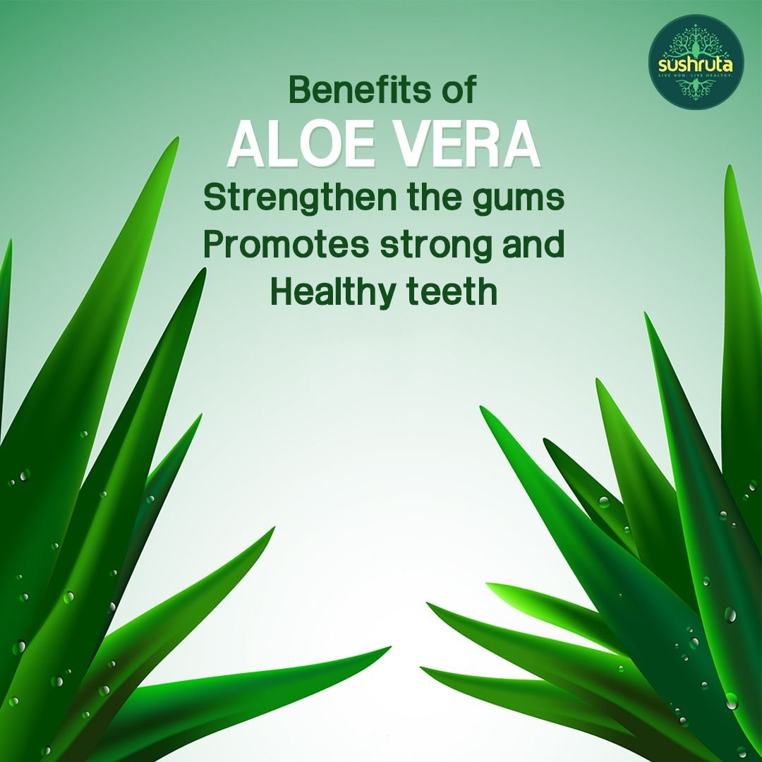 Алоэ Вера реклама