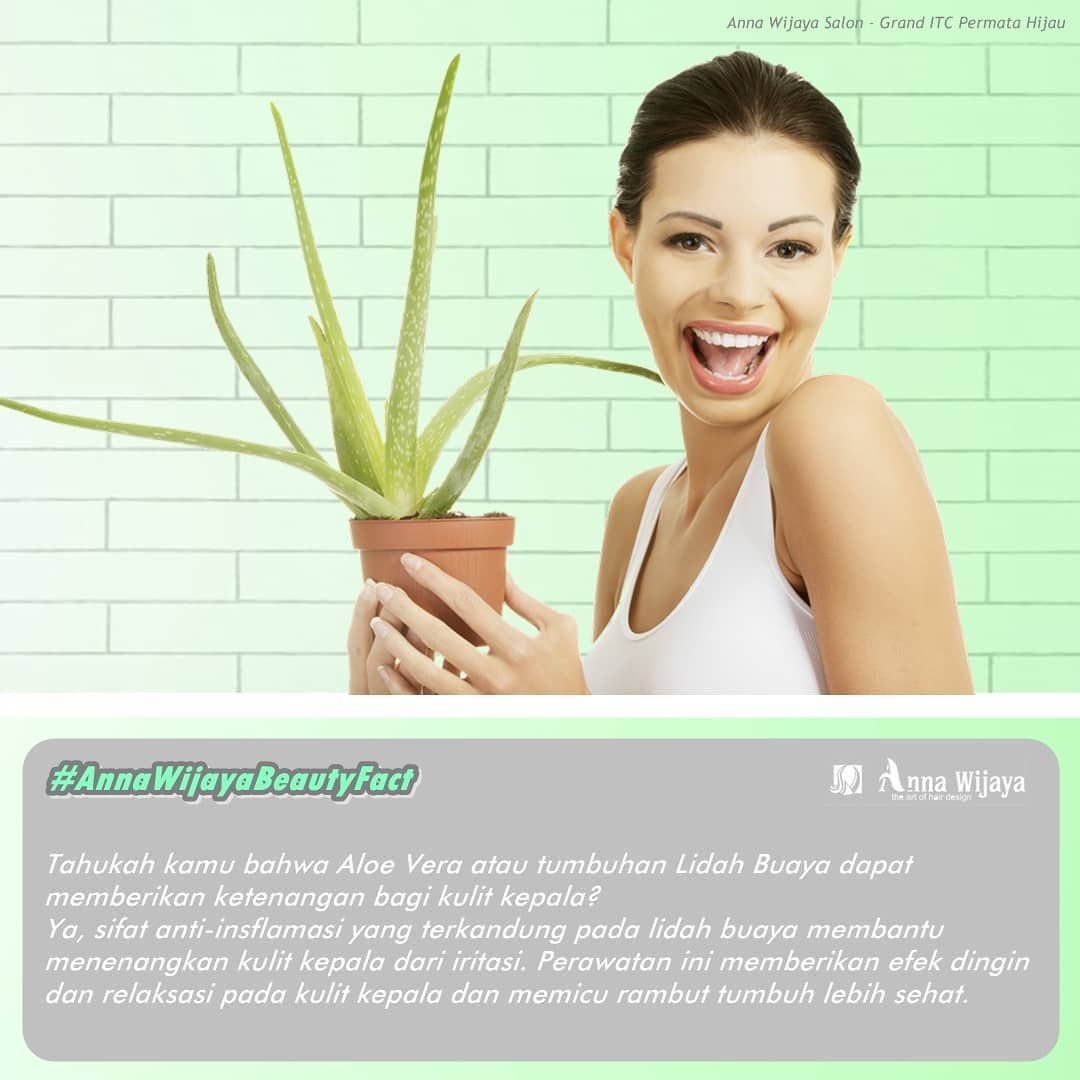 Когда день рождения у человека алоэ Вера