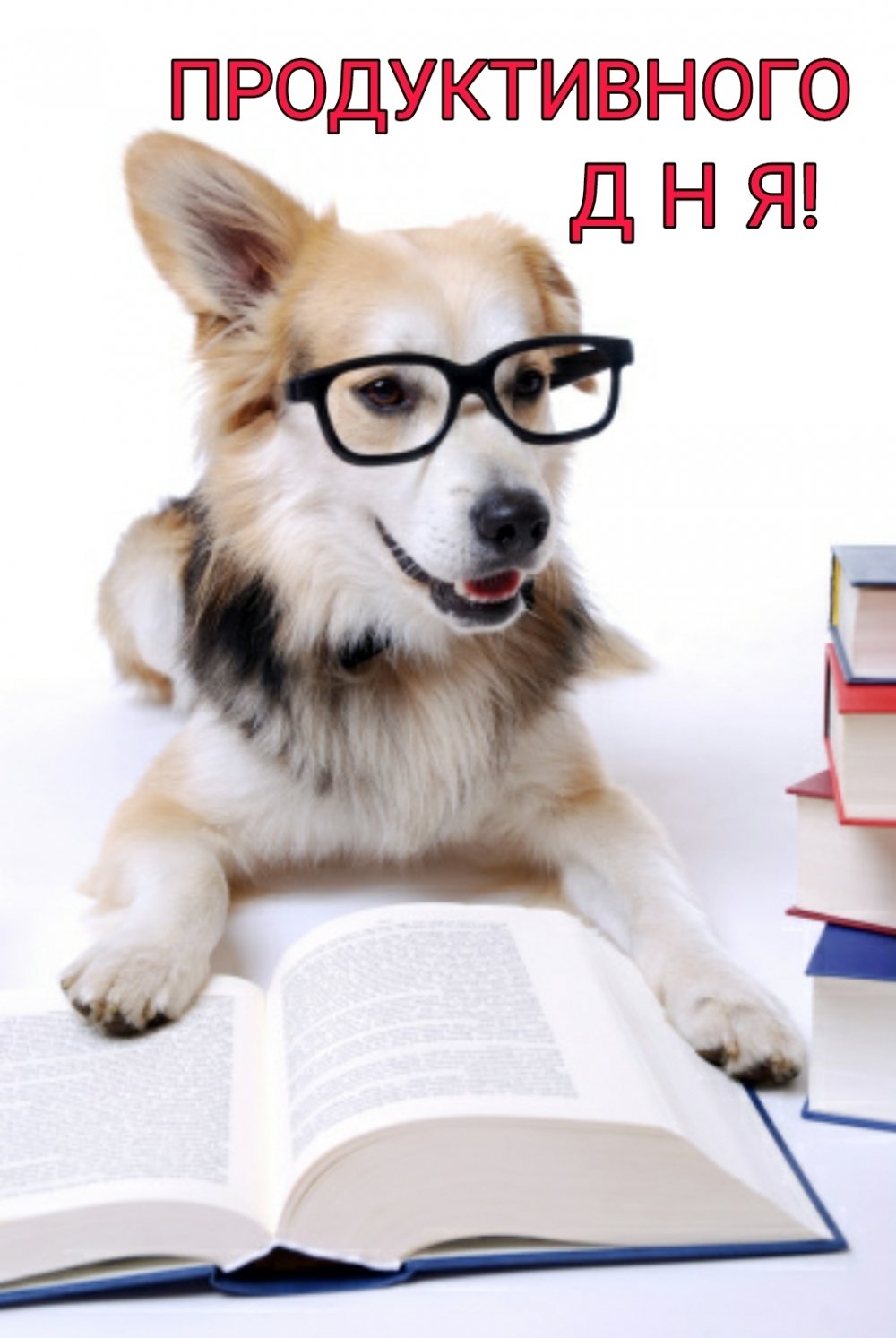 Хорошего дня продуктивного дня