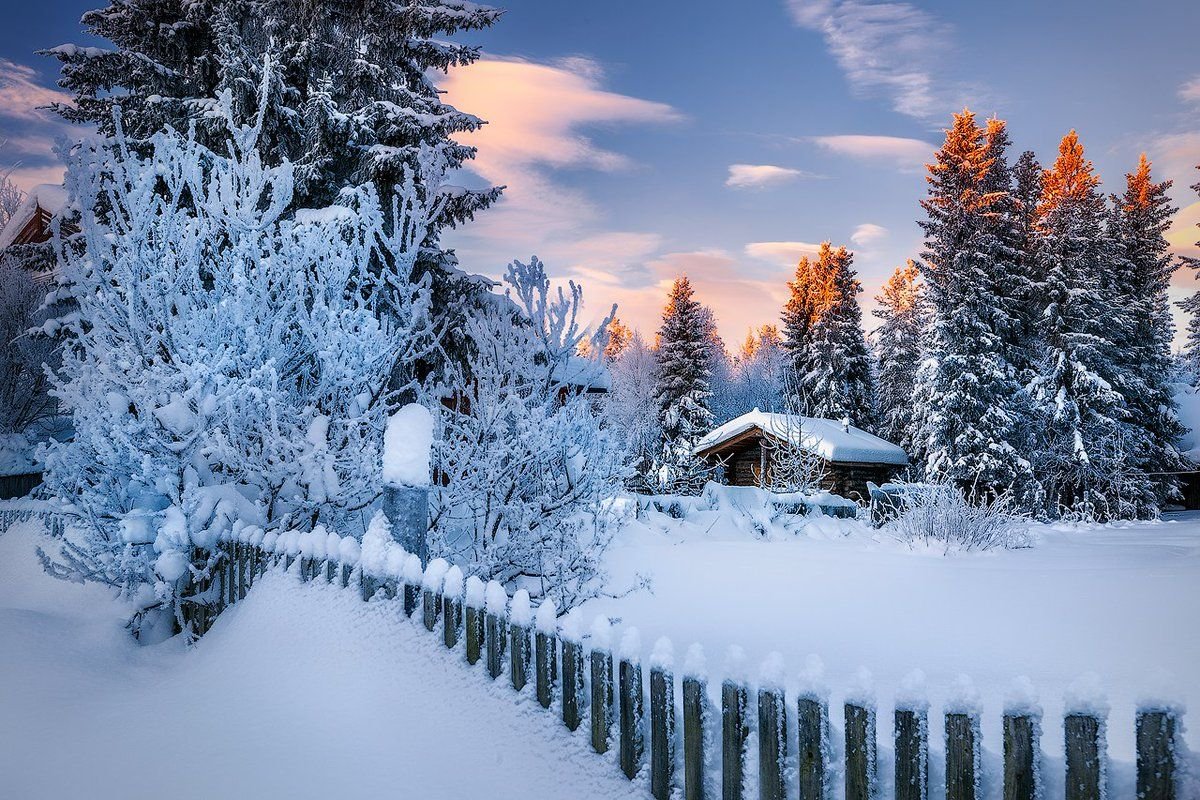 Зимний пейзаж фото