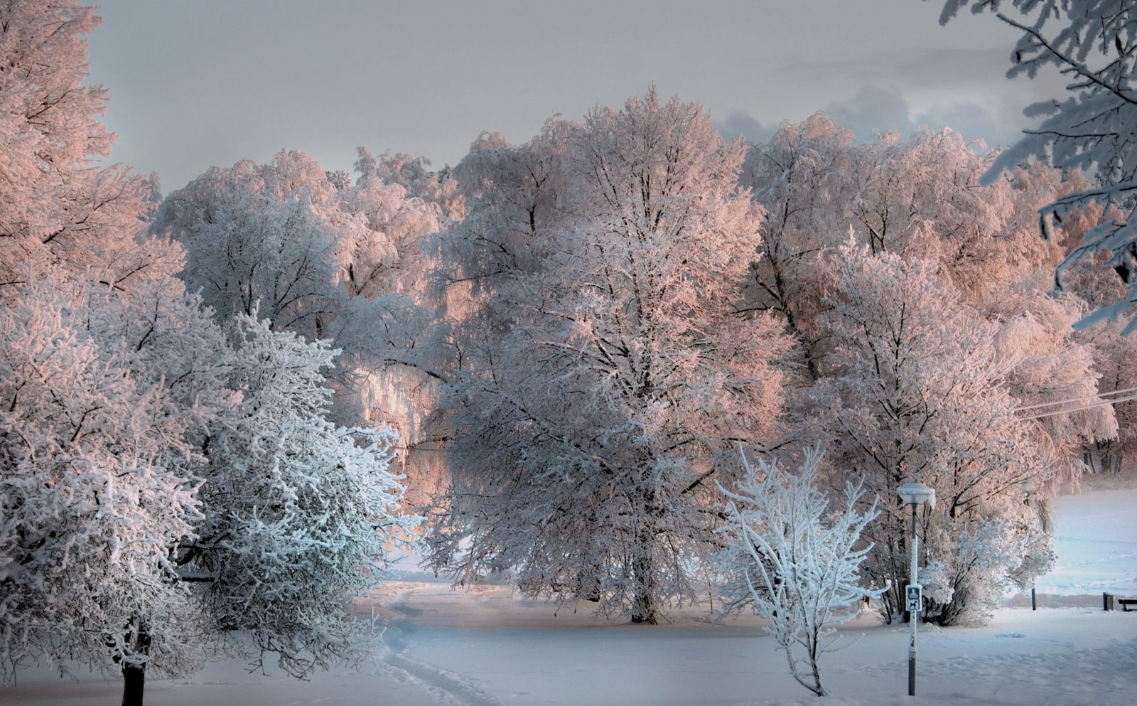 Природа зима красота. Красивая зима. Зимняя природа. Красота зимы. Декабрь природа.