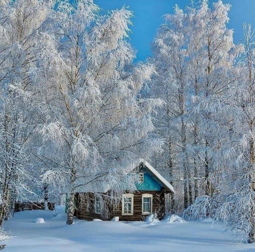 Зимний пейзаж тропинка