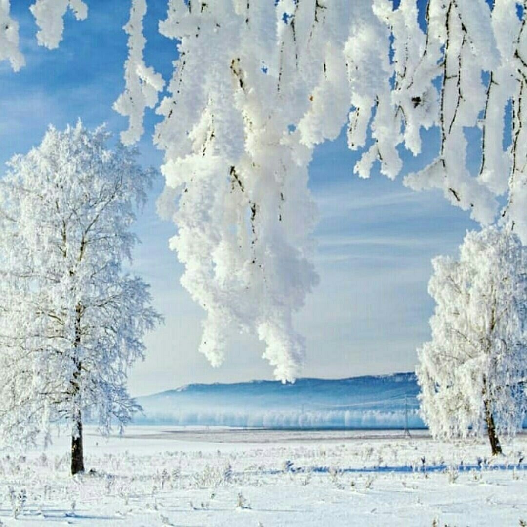 Зимний пейзаж