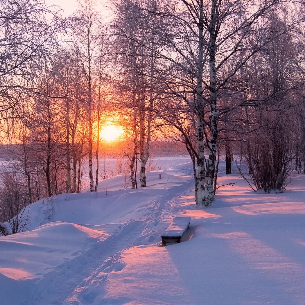 Зимний пейзаж телефон утро