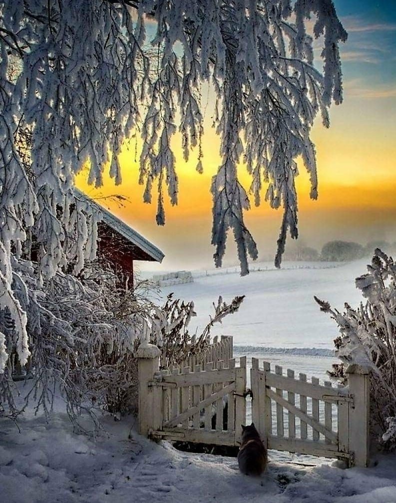 Красивая зима в деревне