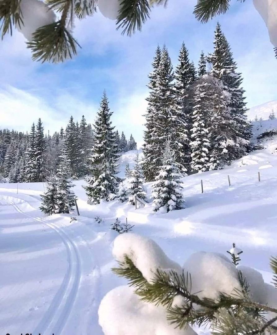 Картинки зима красивые пейзажи