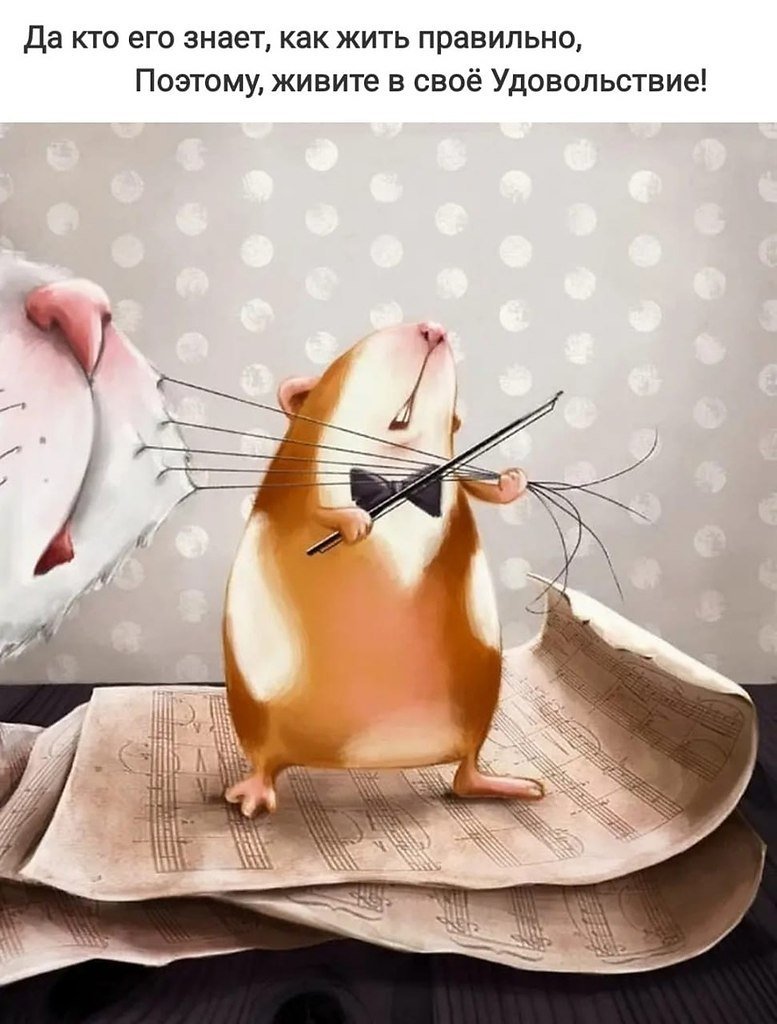 Доброе утро четверга