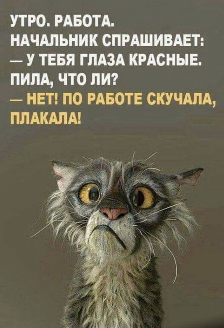 Веселые рисунки для поднятия настроения