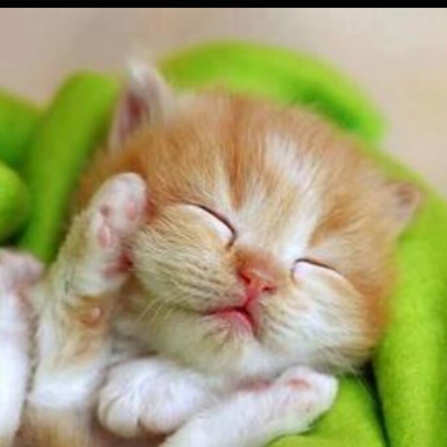 Доброй ночи сладких снов