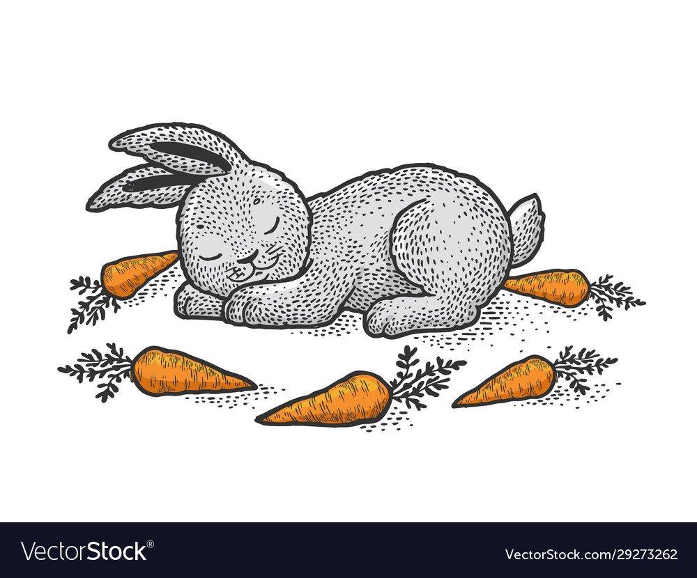 Заяц спит картинки