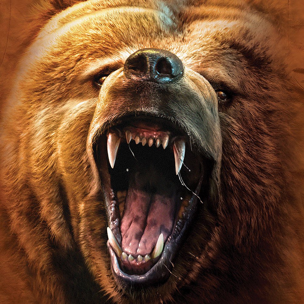 Оскал русского медведя