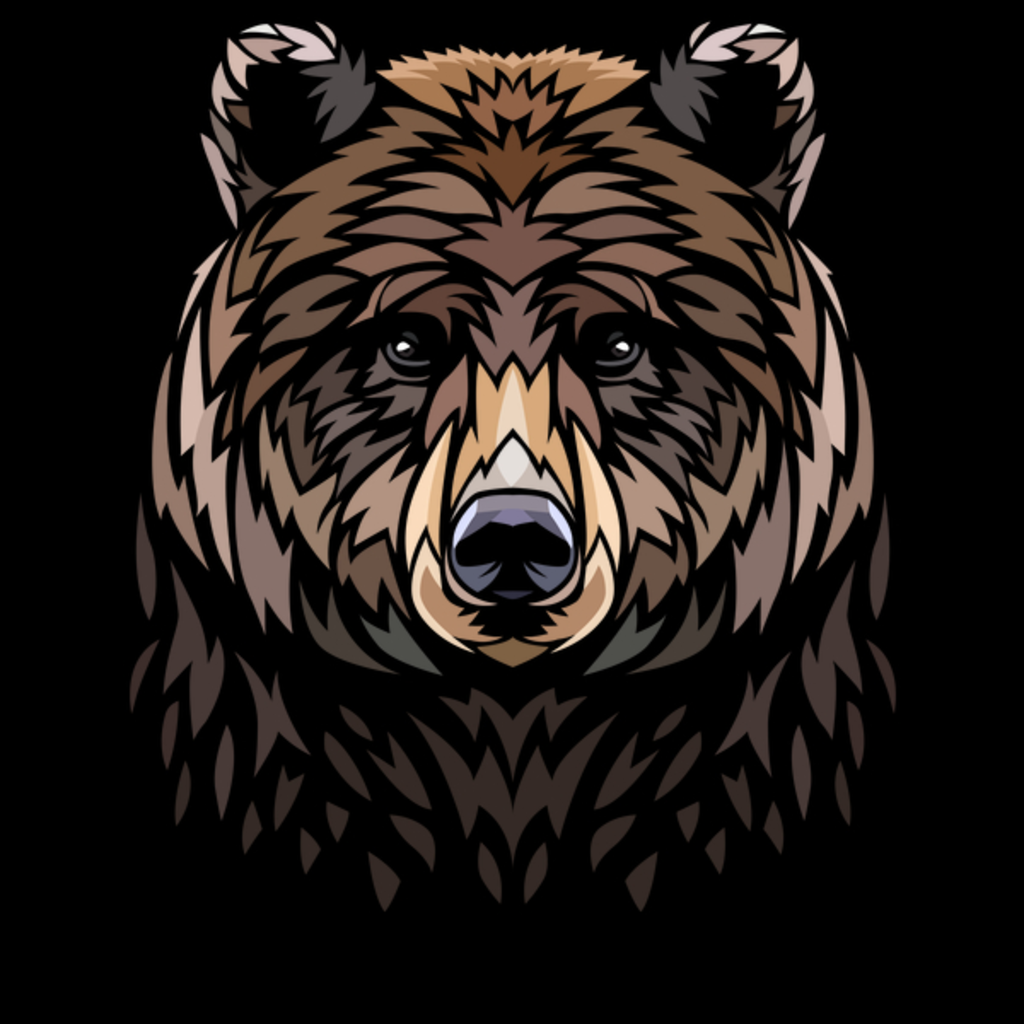 Джиу-джитсу ground Shark