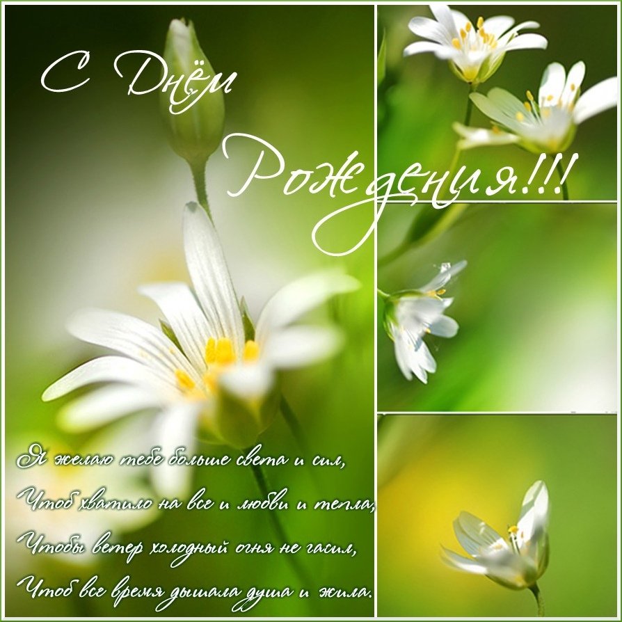 Открытки с днём рождения Наталья