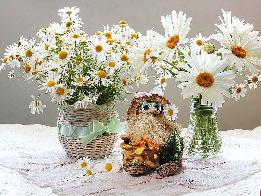 Семья это главное в жизни