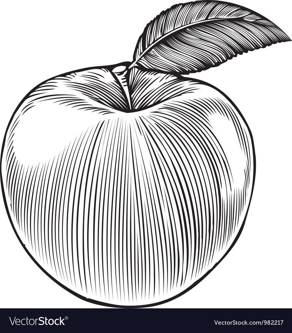 Яблоко рисунок