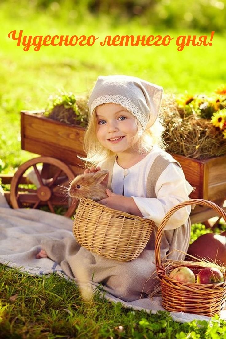 Алмазная мозаика попугаи неразлучники