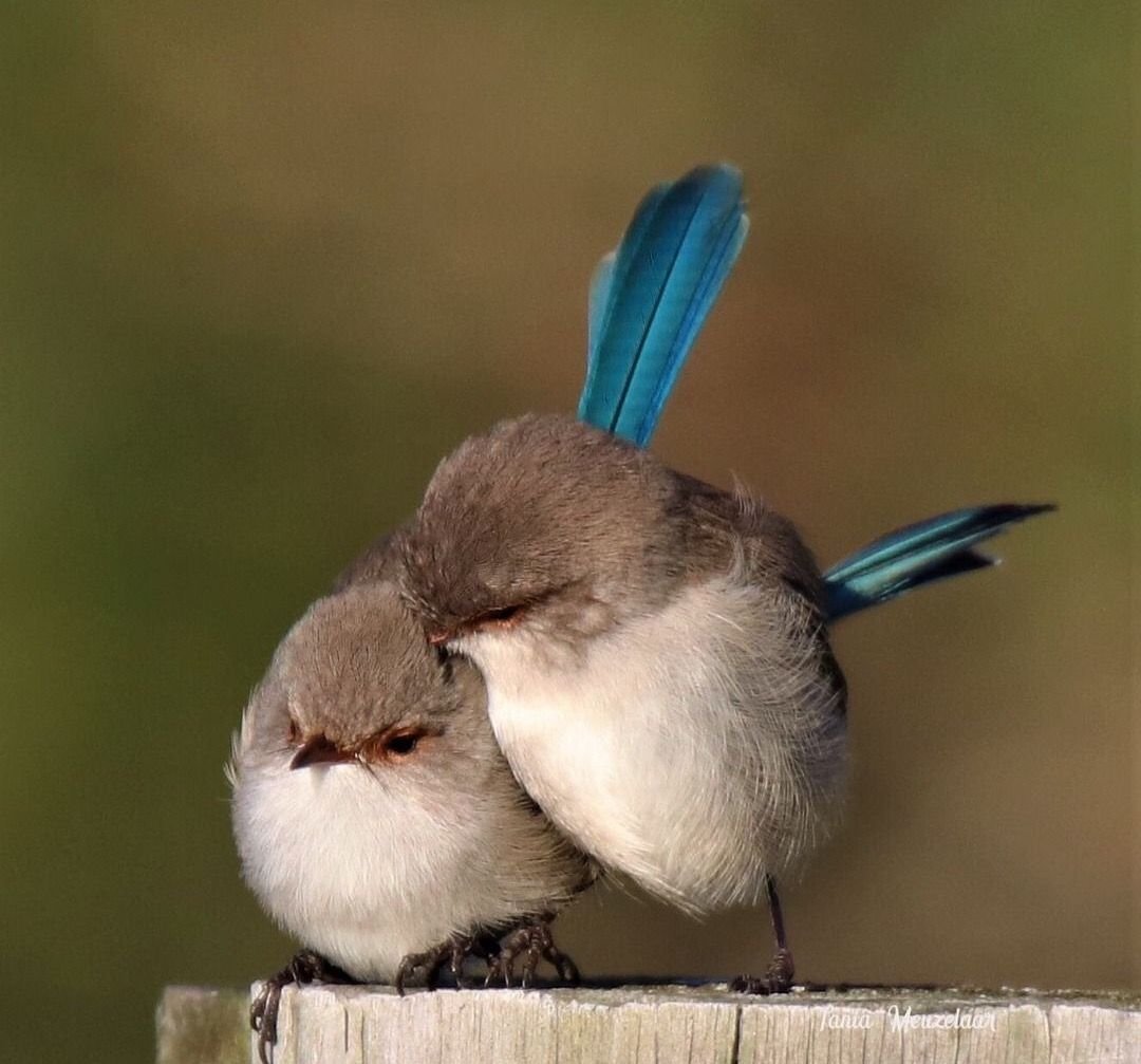 Ой ладно можно подумать
