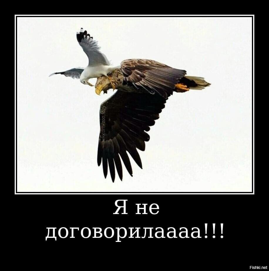 Выдра + Воробей выебушек