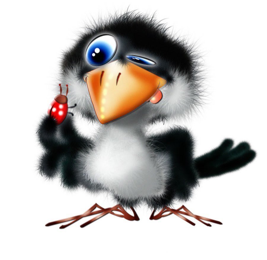 Сойка мозгоклюйка