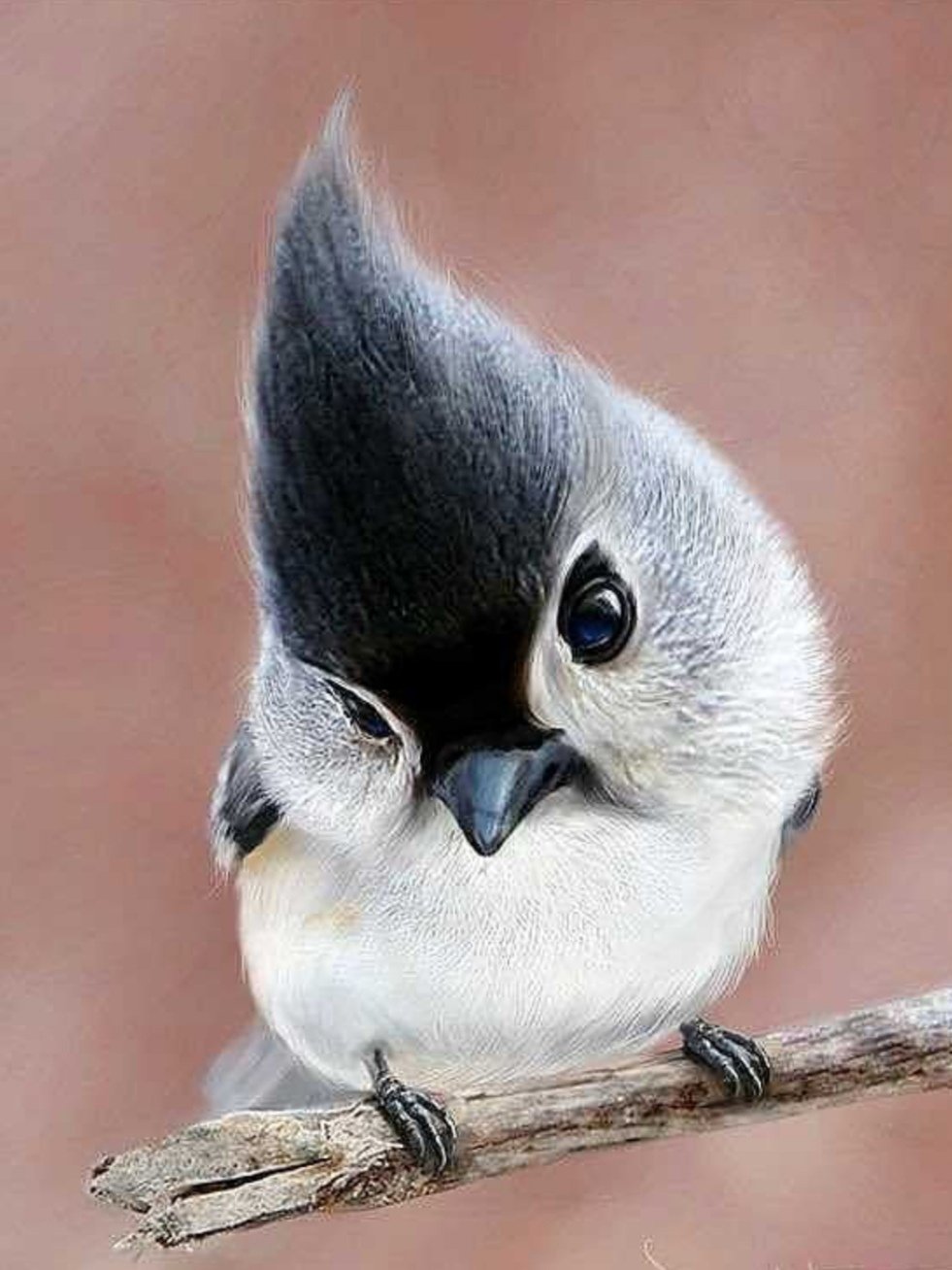 Синяя птица мультфильм