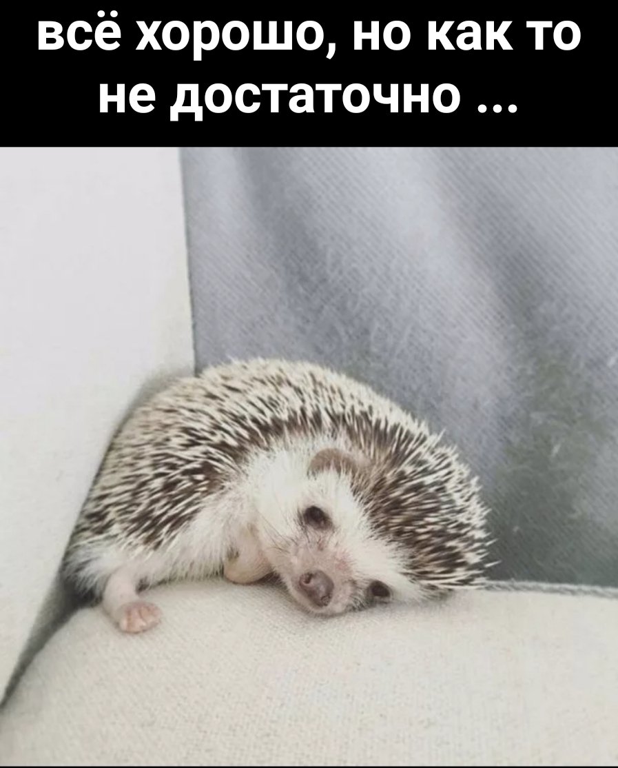 Настроение грустный Ежик