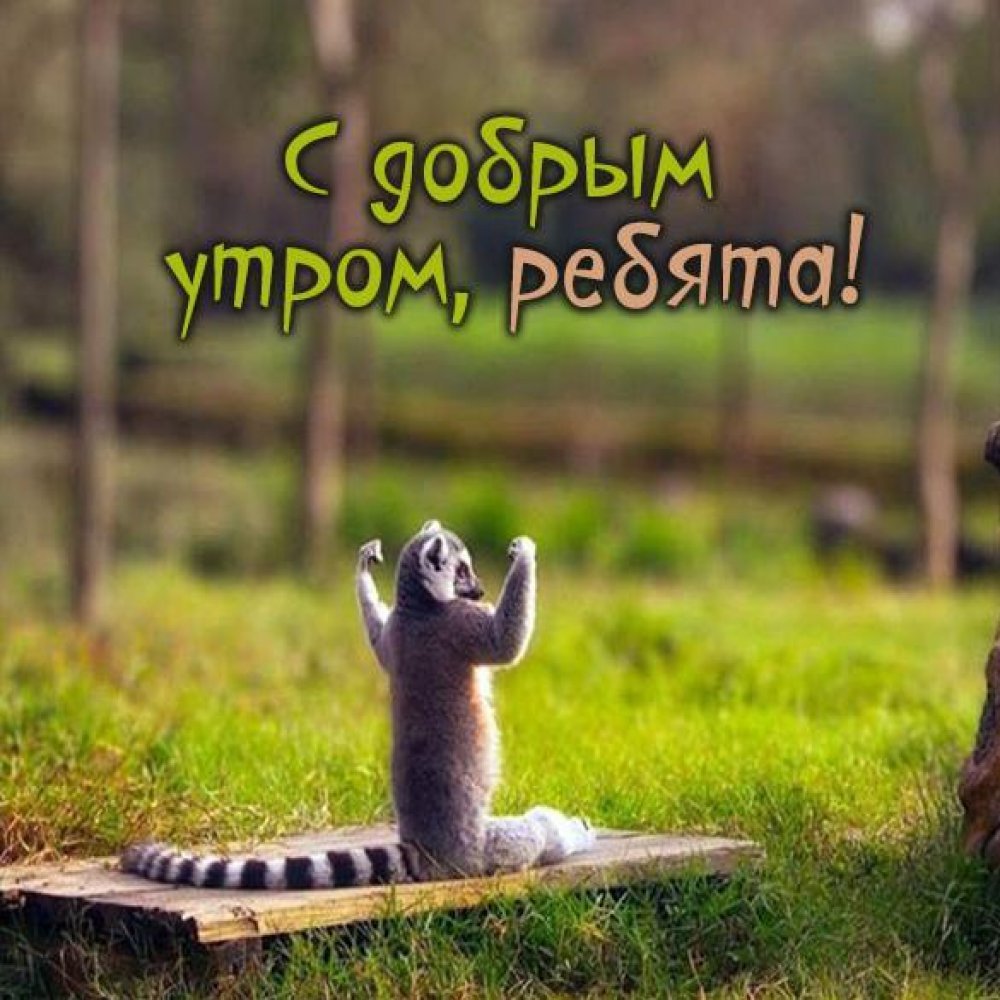 Бодрого доброго утра