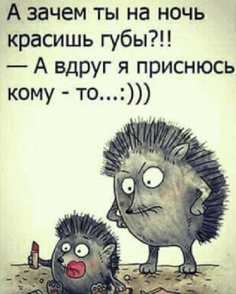 Шутки про ежика